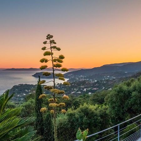 Vistazur Luxueux Appartement Avec Terrasse Et Piscine Rayol-Canadel-sur-Mer Bagian luar foto