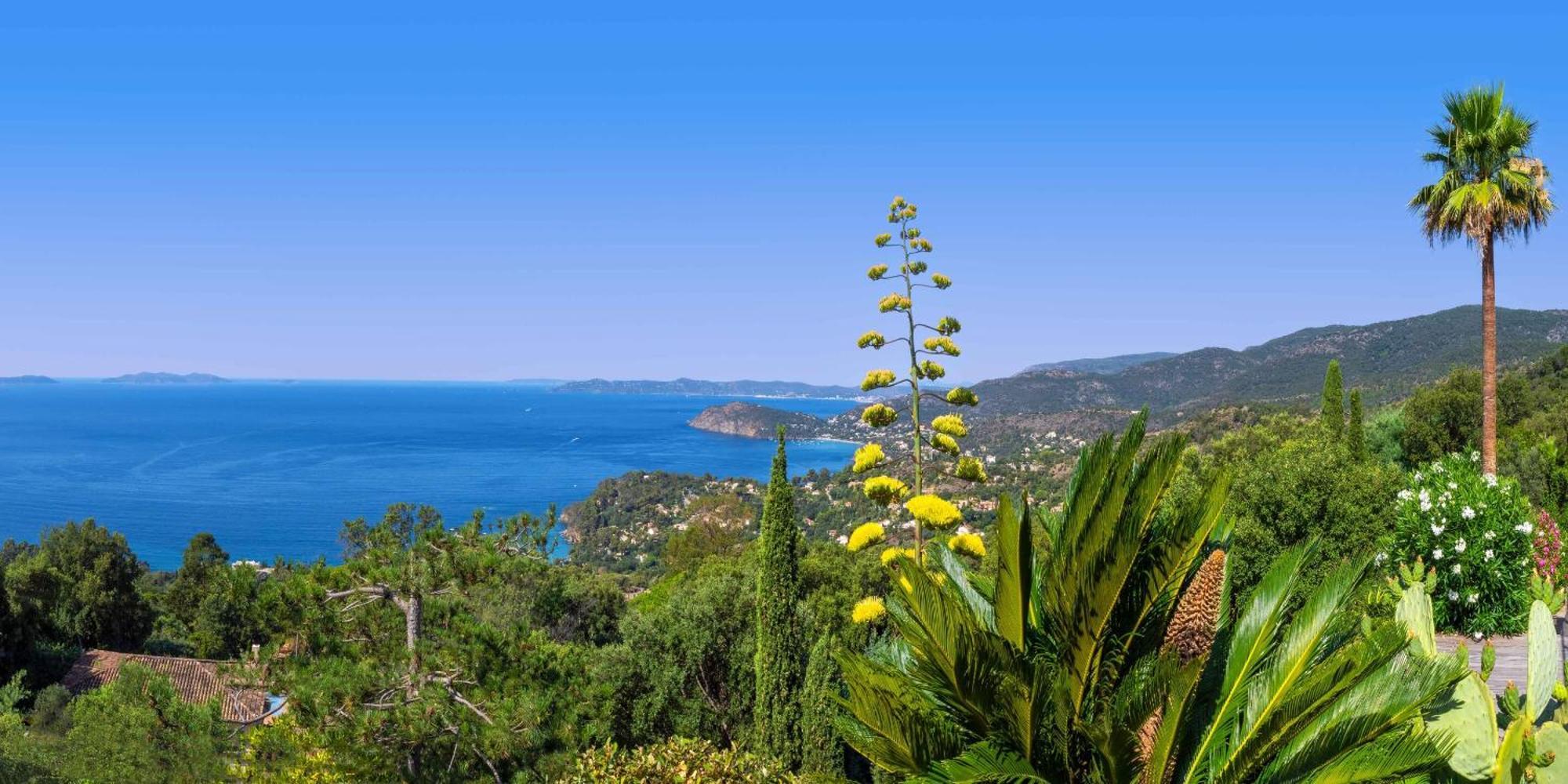 Vistazur Luxueux Appartement Avec Terrasse Et Piscine Rayol-Canadel-sur-Mer Bagian luar foto